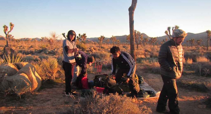 Three people stand in a desert environment amid joshua trees. 